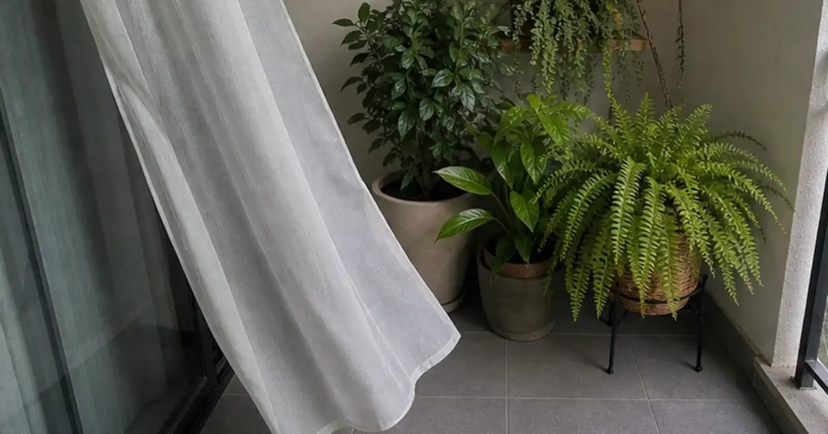 Detalhe visual do artigo samambaia em varanda sombreada: umidade, vento e cuidados diários em uma varanda sombreada