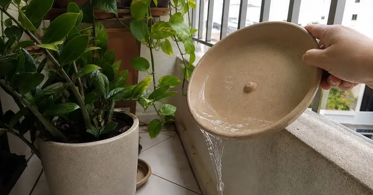 Ajuste final do artigo como regar plantas em varanda sem sol sem encharcar o vaso em varanda de apartamento sem sol