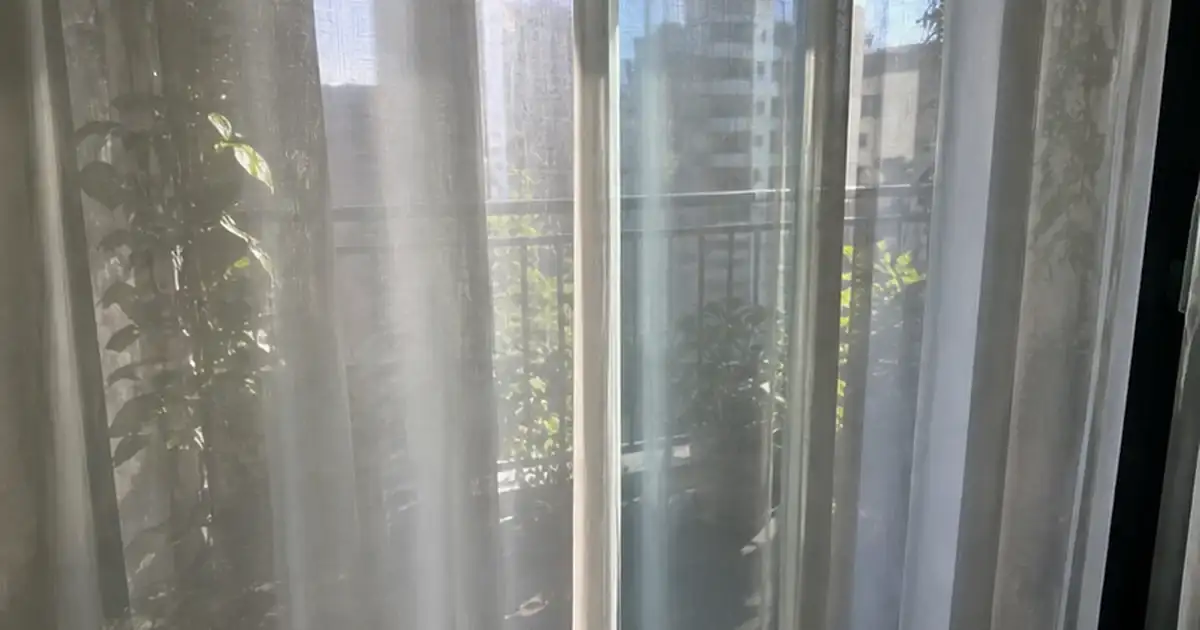 Detalhe visual do artigo como saber se sua varanda sem sol tem luz suficiente para plantas em uma varanda sombreada