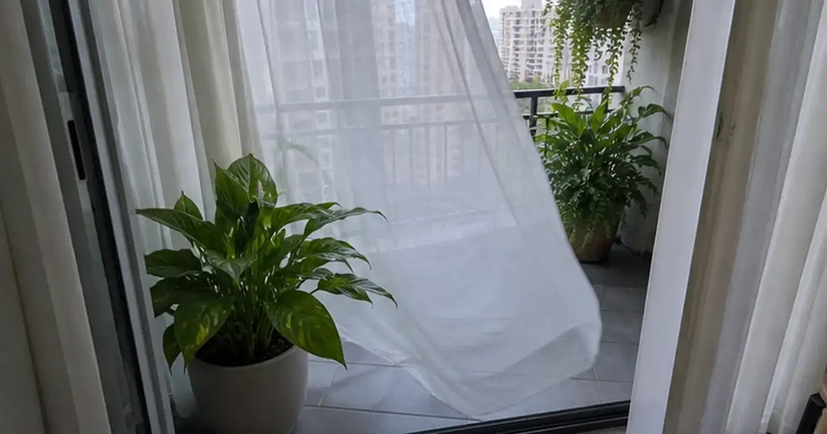 Detalhe visual do artigo ventilação e umidade na varanda: como criar um microclima bom para plantas em uma varanda sombreada