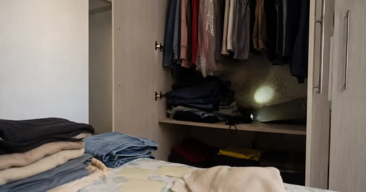 Cheiro de Mofo em Armário de Aluguel: Como Agir Antes de Comprar Outro Móvel